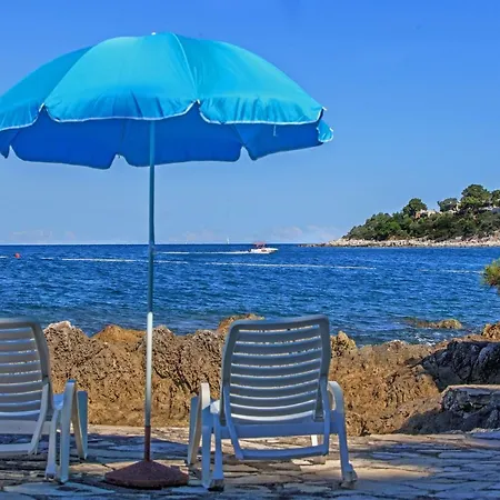 老城广场公寓 公寓 *